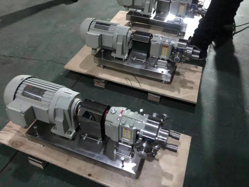 廣東保(bao)溫不鏽(xiu)鋼轉子(zǐ)泵