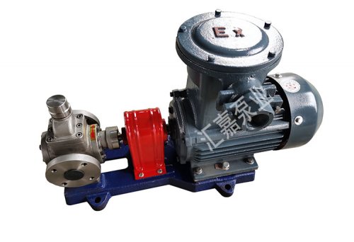 防爆不(bu)鏽鋼圓弧(hu)齒輪泵