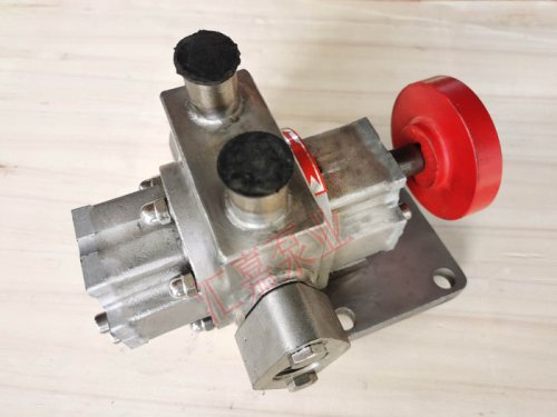 <strong>不鏽鋼(gāng)外潤滑保(bao)溫齒輪泵(bèng)</strong>