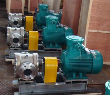 YCBG不鏽鋼(gāng)圓弧保溫(wēn)齒輪泵