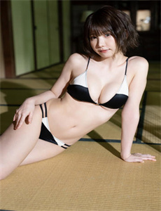 打狗棒
