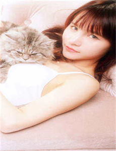 小林家的龙女仆