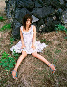 暴躁大妈荒野大镖客K9-黑寡妇终极版